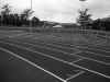 EPDM